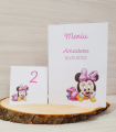 Meniu Botez Minnie Baby