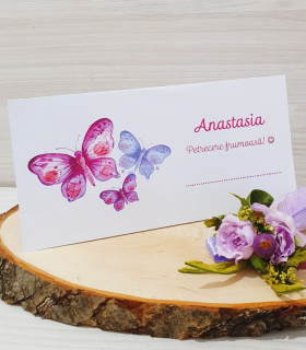 Plic de bani Fluturi Mov PB34