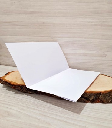 Plic de bani Nunta si Botez PB105