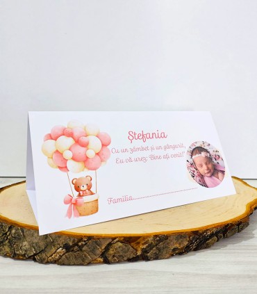 Plic de bani Teddy Roz