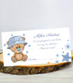 Plic de bani Teddy Stelute