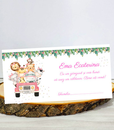 Plic de bani Zoo Roz