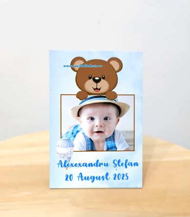 Magnet Ursulet 6x9 cm